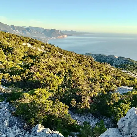 In Just 50 Mt From The Sea Cala Gonone
